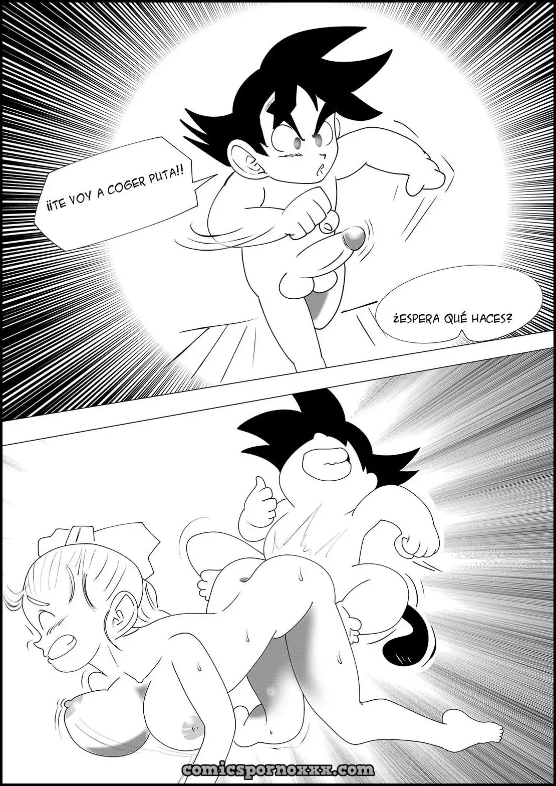 El Viaje Caliente de Goku y Bulma  - Imagen 14  - Comics Porno - Hentai Manga - Cartoon XXX