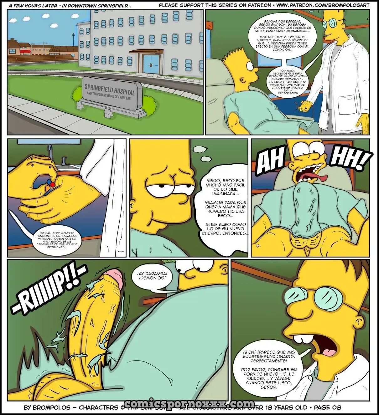 The Simpsons are The Sexenteins  - Imagen 11  - Comics Porno - Hentai Manga - Cartoon XXX