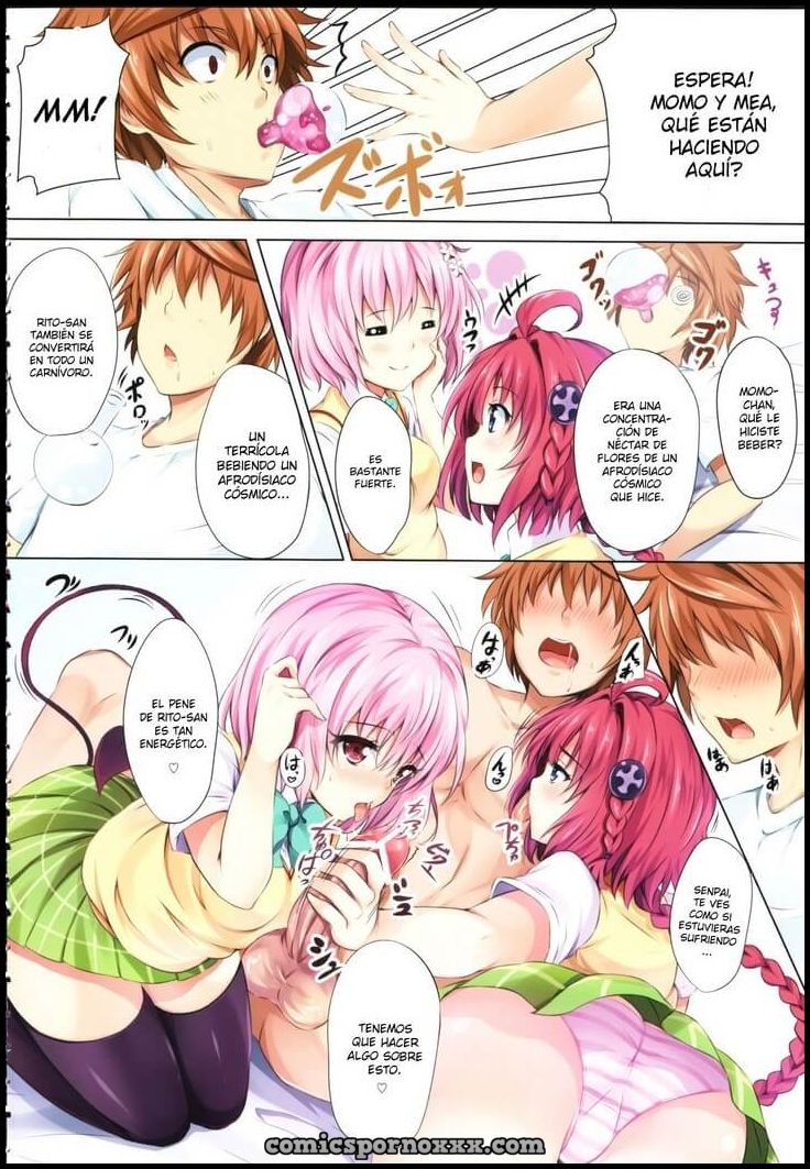 To Love Ru Party (La Fiesta a Puro Sexo) 3