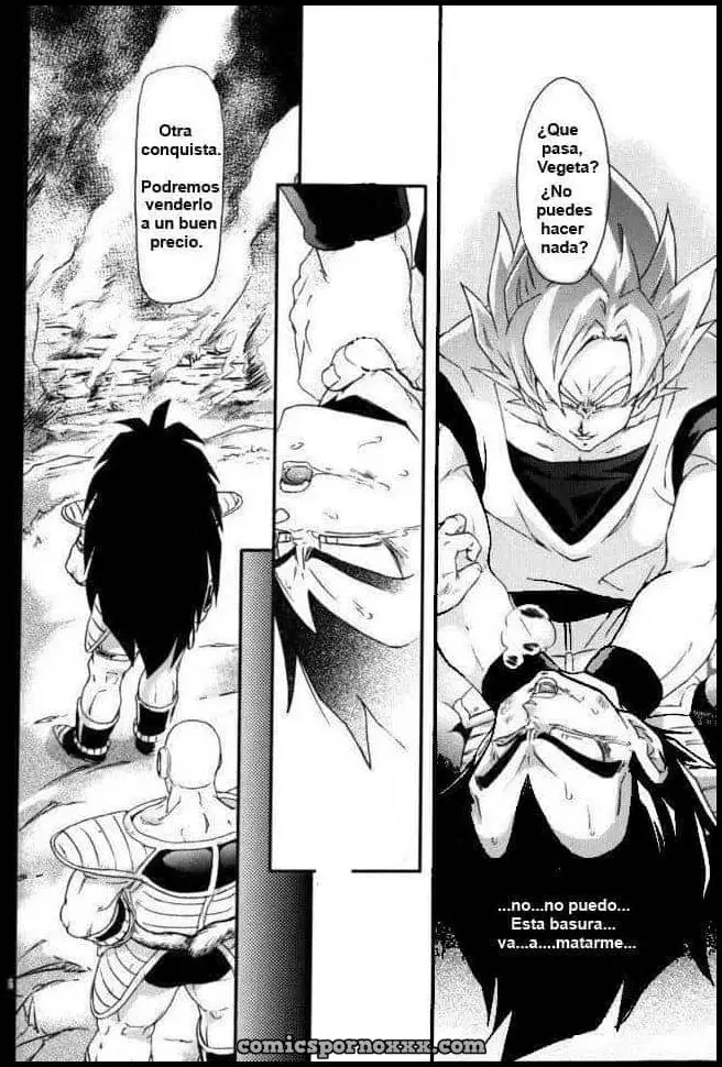 Kemono-tachi wa Furusato o Mezasu DBZ (La Venganza de Bardock) - Página 13