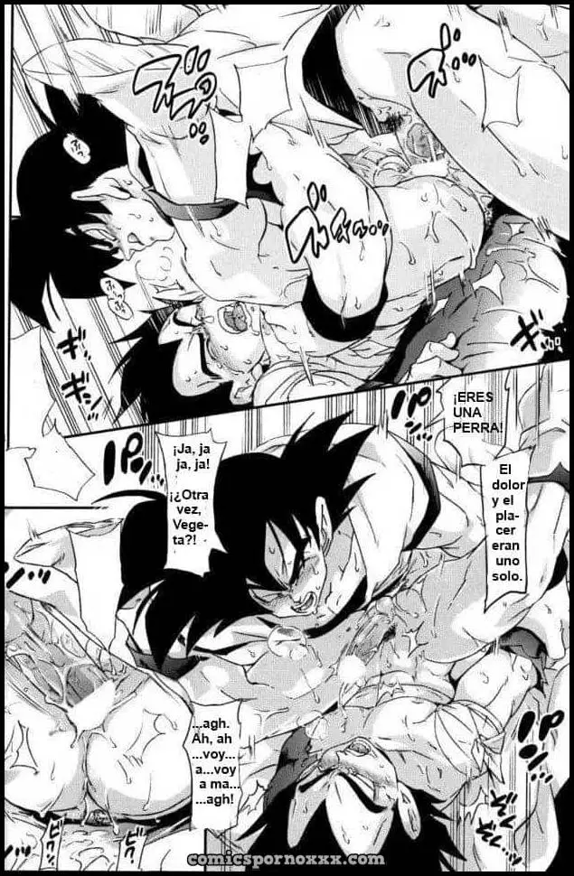 Kemono-tachi wa Furusato o Mezasu DBZ (La Venganza de Bardock) - Página 22
