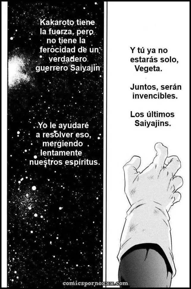Kemono-tachi wa Furusato o Mezasu DBZ (La Venganza de Bardock) - Página 40