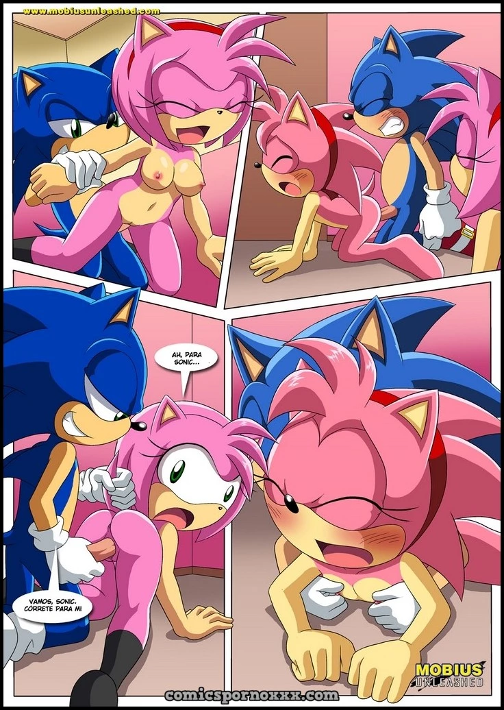 Hentai - Amor Clásico y Moderno (Sonic el Follador de Amy) - Imagen 10