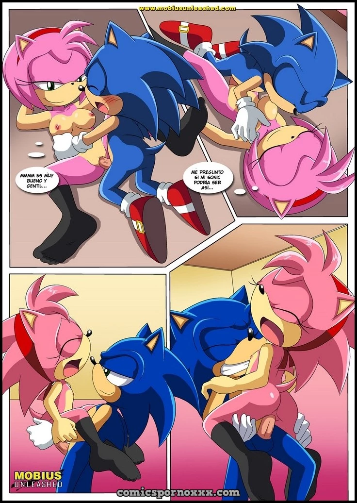 Hentai - Amor Clásico y Moderno (Sonic el Follador de Amy) - Imagen 12