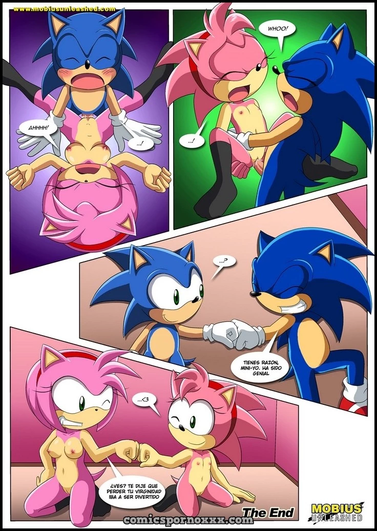 Hentai - Amor Clásico y Moderno (Sonic el Follador de Amy) - Imagen 13