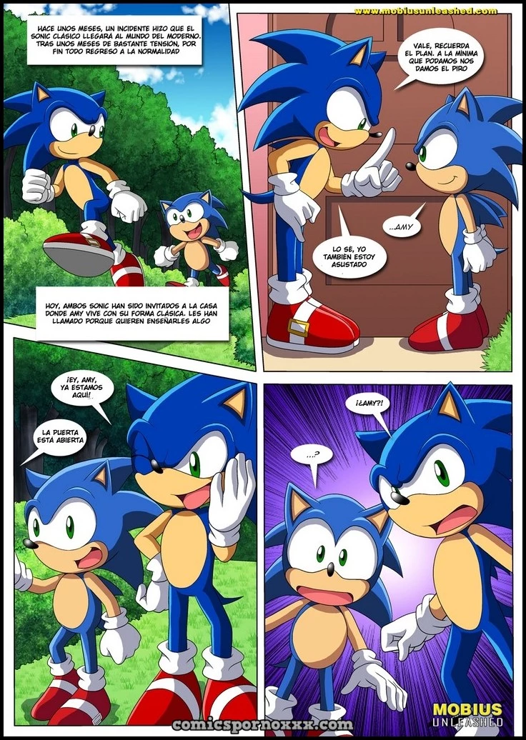 Hentai - Amor Clásico y Moderno (Sonic el Follador de Amy) - Imagen 2