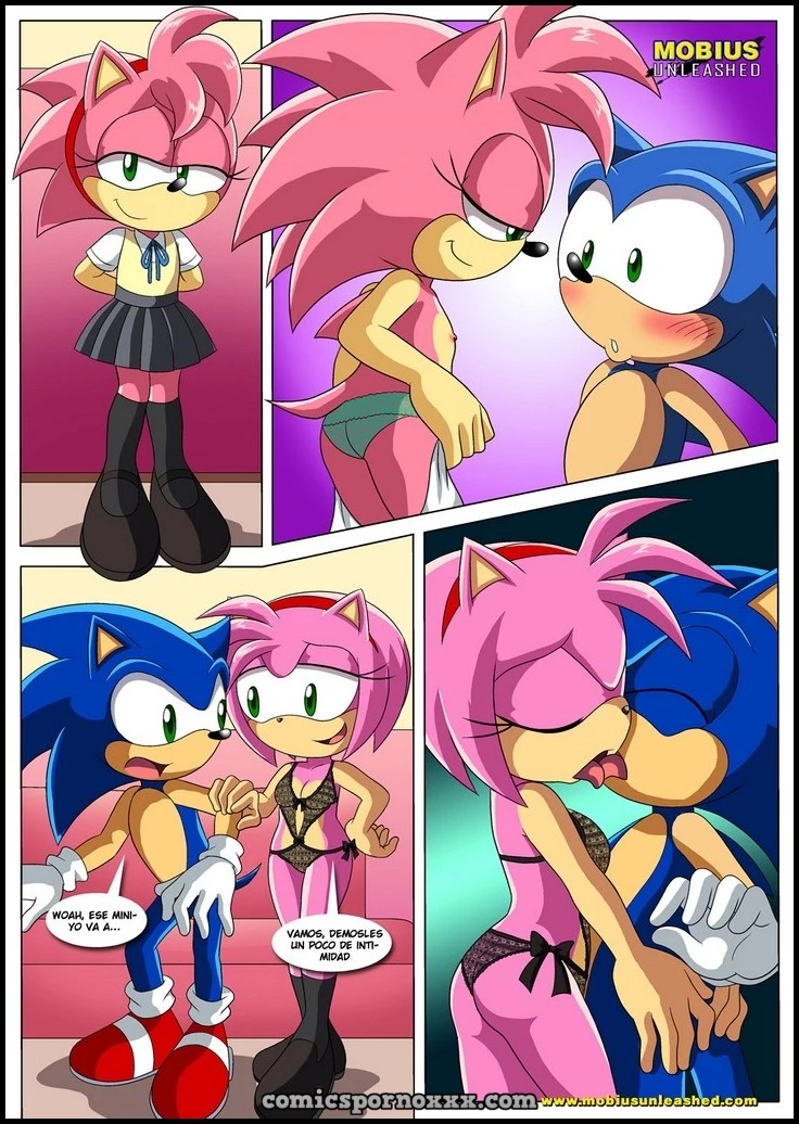 Hentai - Amor Clásico y Moderno (Sonic el Follador de Amy) - Imagen 5