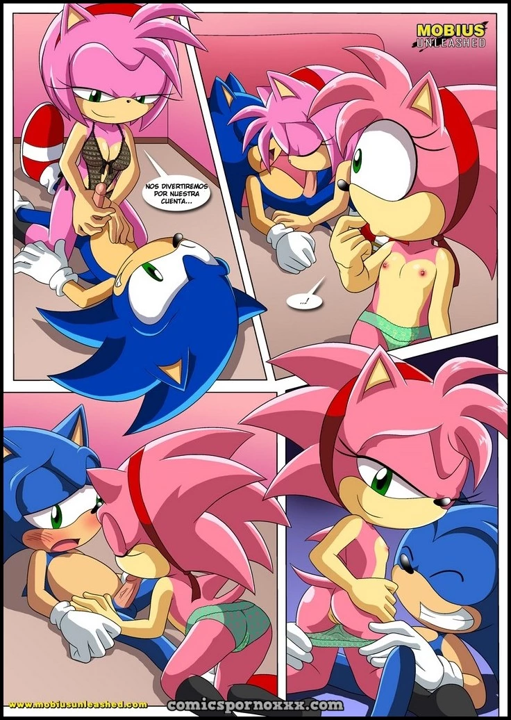 Hentai - Amor Clásico y Moderno (Sonic el Follador de Amy) - Imagen 6