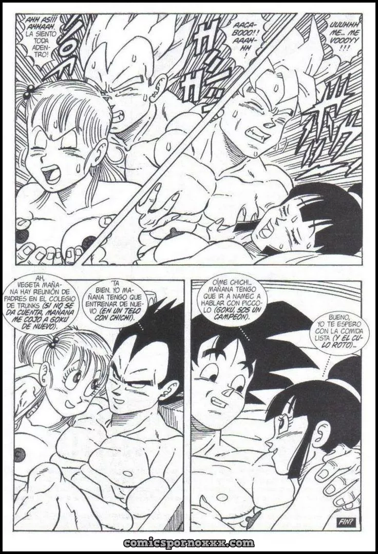 Doble Traición (DBZ) - Página 13