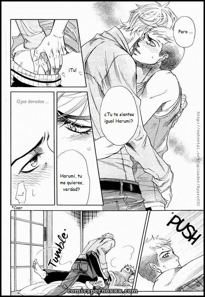 Hentai - Homemade Vampire Español (Yaoi) Naono Bohra - Imagen 28