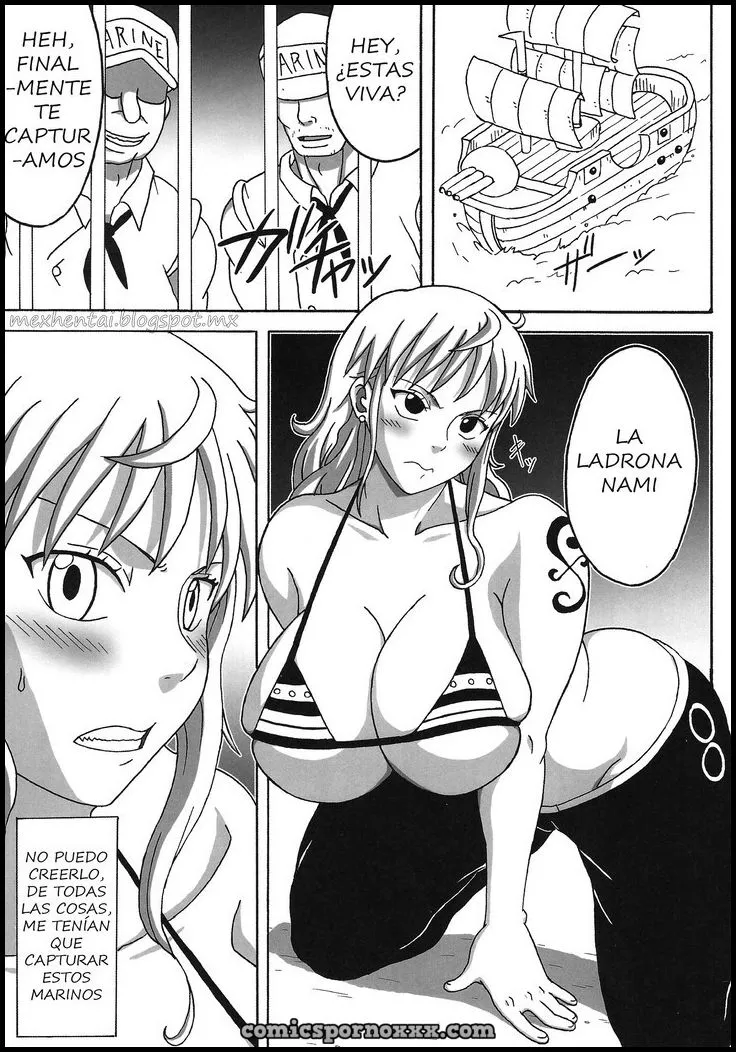 Hentai - Nami Saga (Comic Pornográfico de One Piece) - Imagen 2