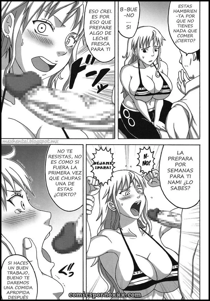 Hentai - Nami Saga (Comic Pornográfico de One Piece) - Imagen 4