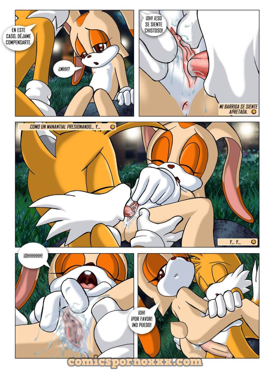 Sonic Project XXX (Parte #1)  - Imagen 10  - Comics Porno - Hentai Manga - Cartoon XXX