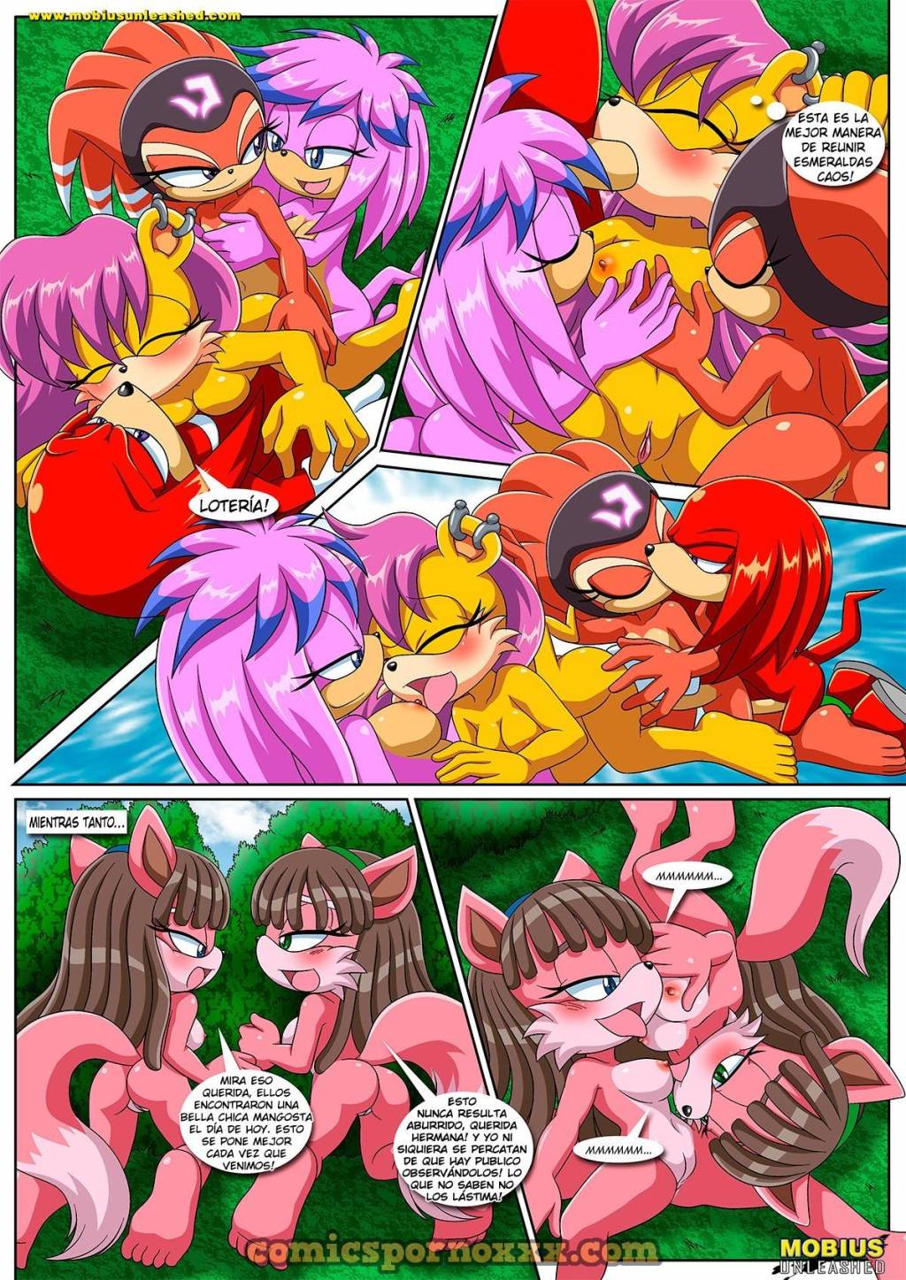 Sonic Project XXX (Parte #4)  - Imagen 14  - Comics Porno - Hentai Manga - Cartoon XXX