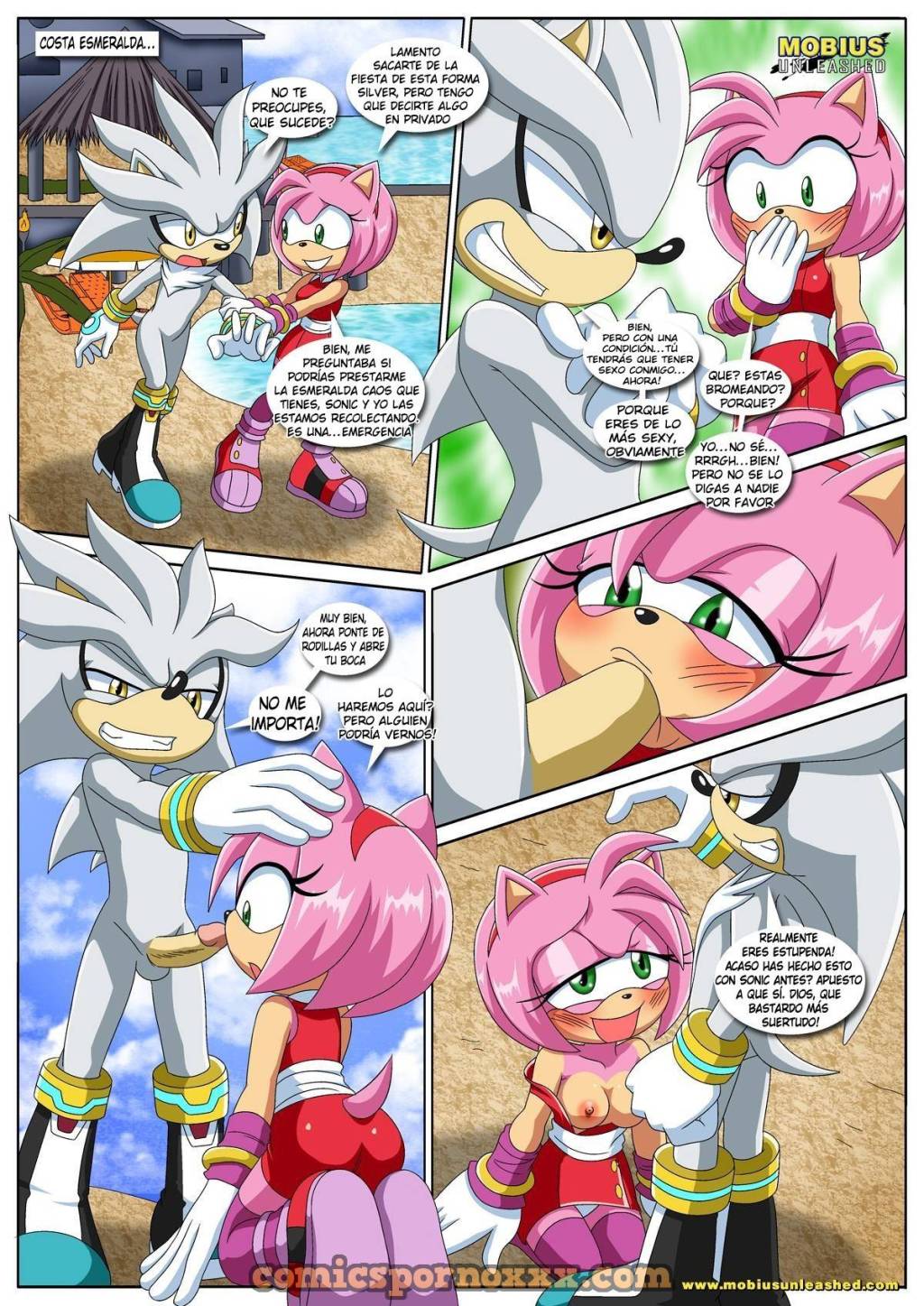 Sonic Project XXX (Parte #4)  - Imagen 4  - Comics Porno - Hentai Manga - Cartoon XXX