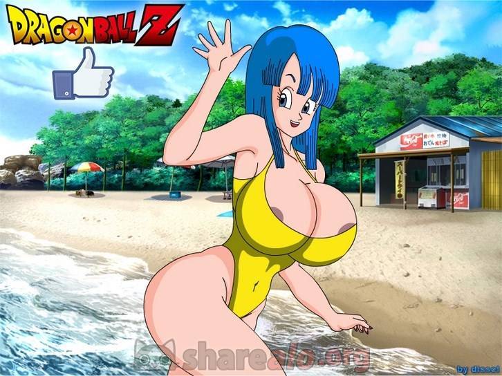 DBZ PlayBoy 20