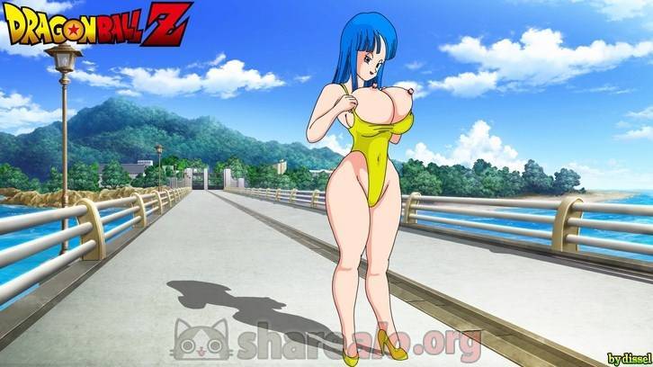 DBZ PlayBoy 47