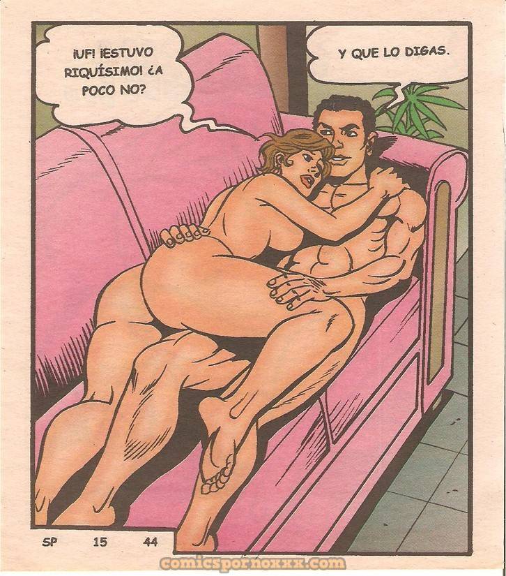 El Sofá del Placer #15  - Imagen 45  - Comics Porno - Hentai Manga - Cartoon XXX