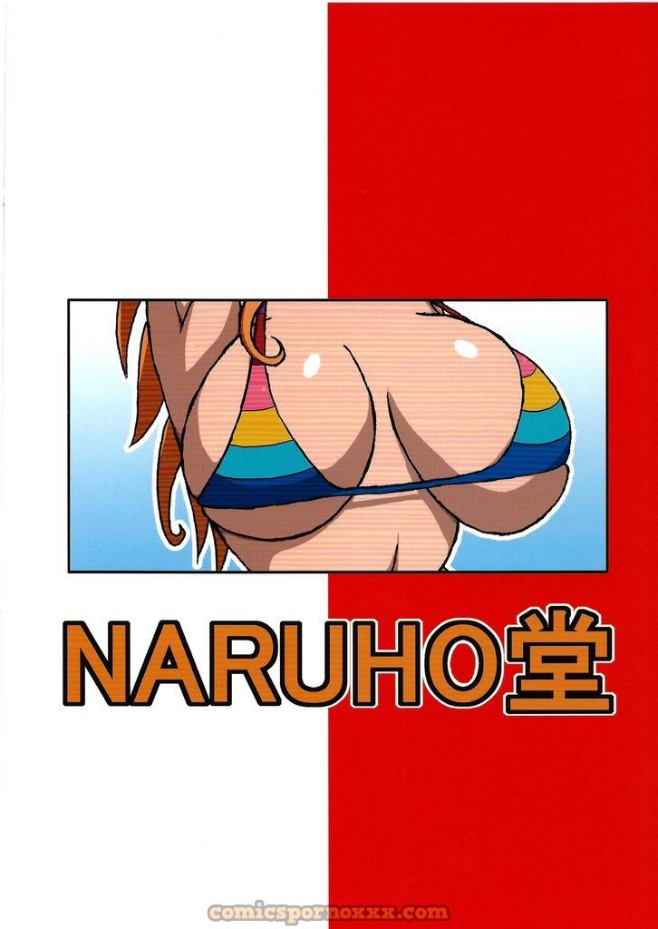 One Piece Nami Naruhodo 42