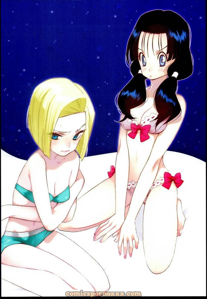 Dragon Night (Dragon Ball Z)  - Imagen 16  - Comics Porno - Hentai Manga - Cartoon XXX