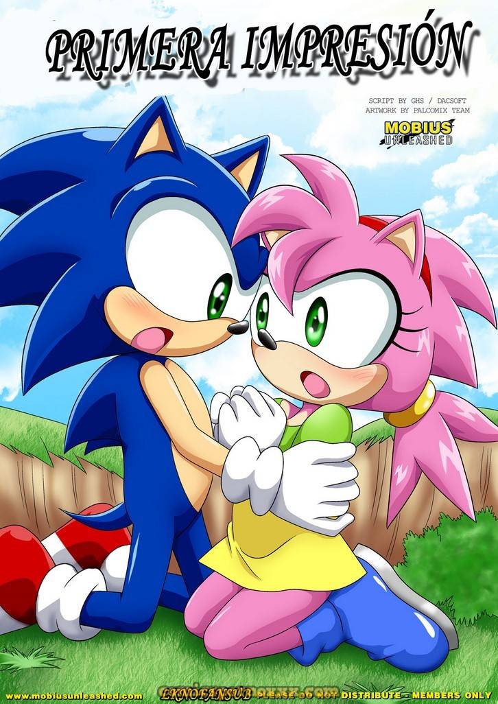 La Primera Impresión (Sonic Follando a Amy) 1