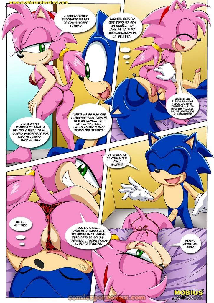 La Primera Impresión (Sonic Follando a Amy) 3