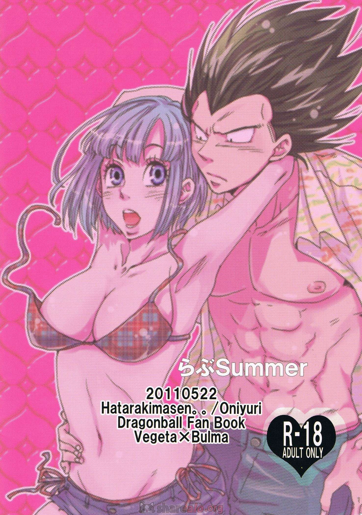 Summer (Verano) DBZ 18