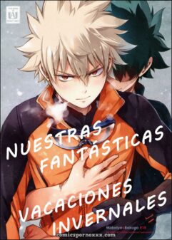 Nuestras Fantásticas Vacaciones Invernales (Boku no Hero Academia)