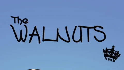 The Walnuts #1 (Snoopy Porno)