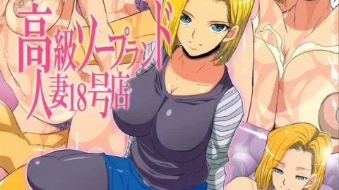 Parodia DBZ No. 18: Comedia Adulta
