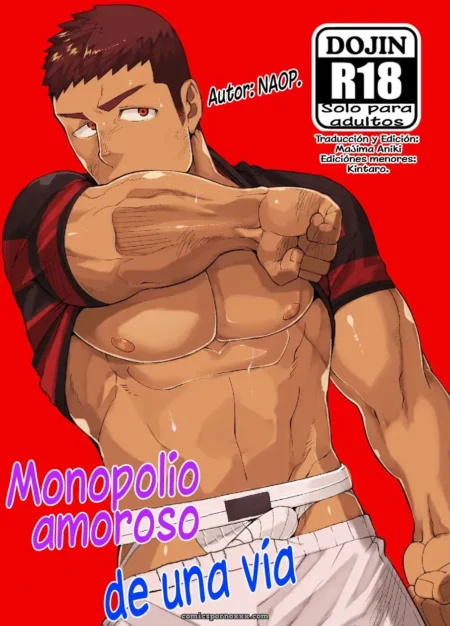 monopolio-amoroso-unilateral-digital-naop-cover-featured