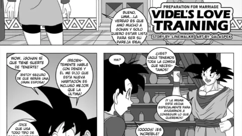 Videls Love Training (Galaspek)