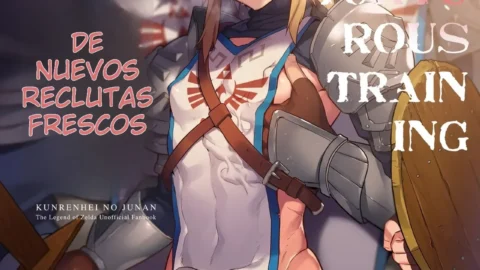 The Torturous raining of New Recruits (The_Legend_of_Zelda)