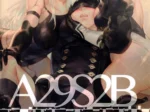A29s2b (Nier Automata)