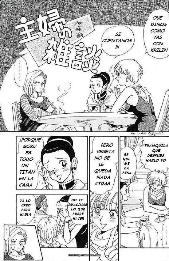 Esposas Vol.1 (Akira Toriyama)