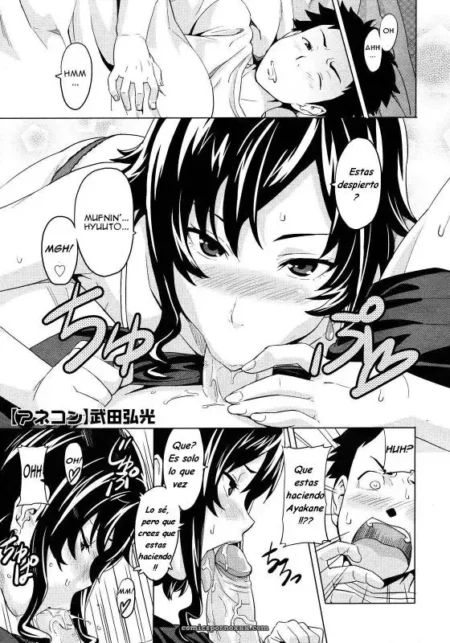 Anekon | Al Cuidado de Mis Hermanastras (Takeda Hiromitsu)