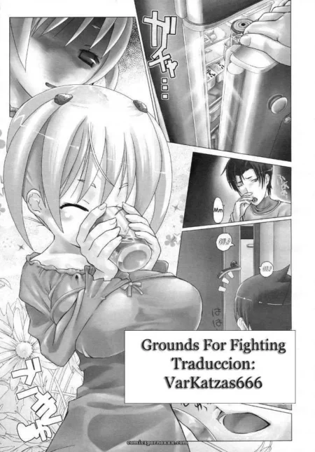 Grounds For Fighting