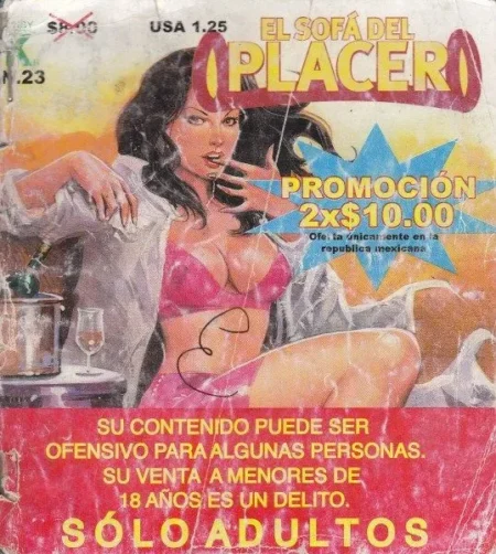 Mujer con sujetador rosa y camisa abierta sentada en un sofá exponiendo sus pechos y muslos en El Sofá del Placer #023.