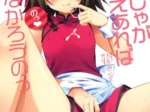 Hideyoshi Ja Ga Ai Sae Areba Kankei Nakarou No (Karukanko)