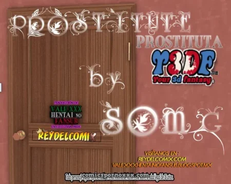 Portada del cómic 3D Prostitute de SomG con textos promocionales sobre una puerta de madera marrón.