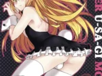 Hyper Usagi Mode (Sadakichi)