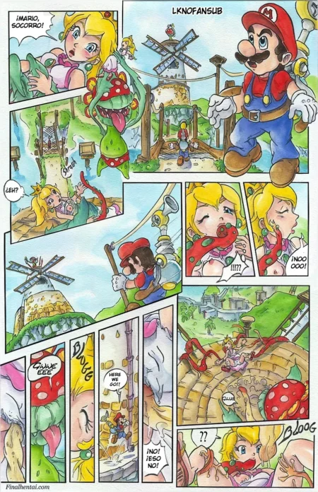 Super Mario Sunshine (Passage)