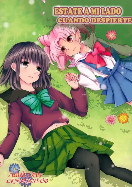 Dos estudiantes japonesas tumbadas en el césped tomadas de la mano con faldas cortas y miradas eróticas.