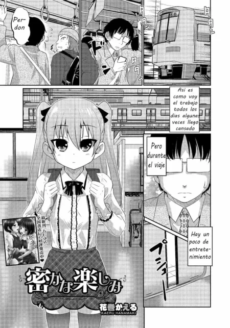 Hisokana Tanoshimi Vol.24 (Hanamaki Kaeru)