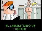 Lecciones de Amor (Dexter Follando a su Madre por el Culo)